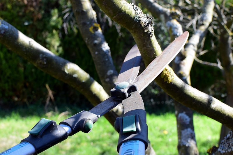 Pruning techniques