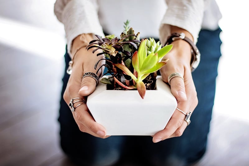 Hanging Planter